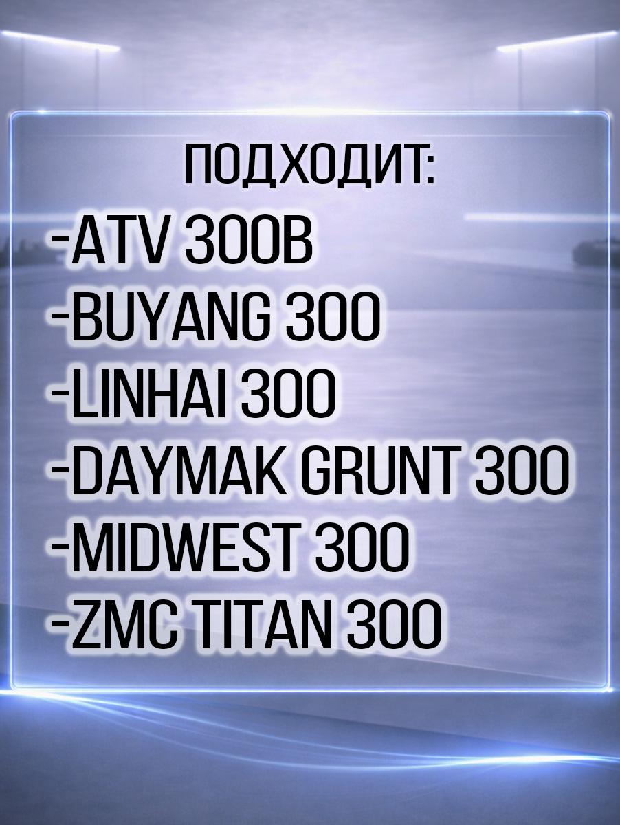 Стартер ATV 300B в сборе 2.1.01.6000 LU019989