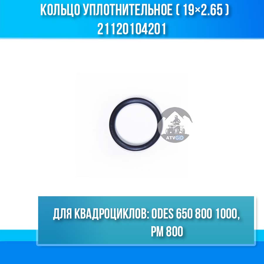 Кольцо уплотнительное (19×2.65) ODES 650 800 1000, РМ 800 21120104201
